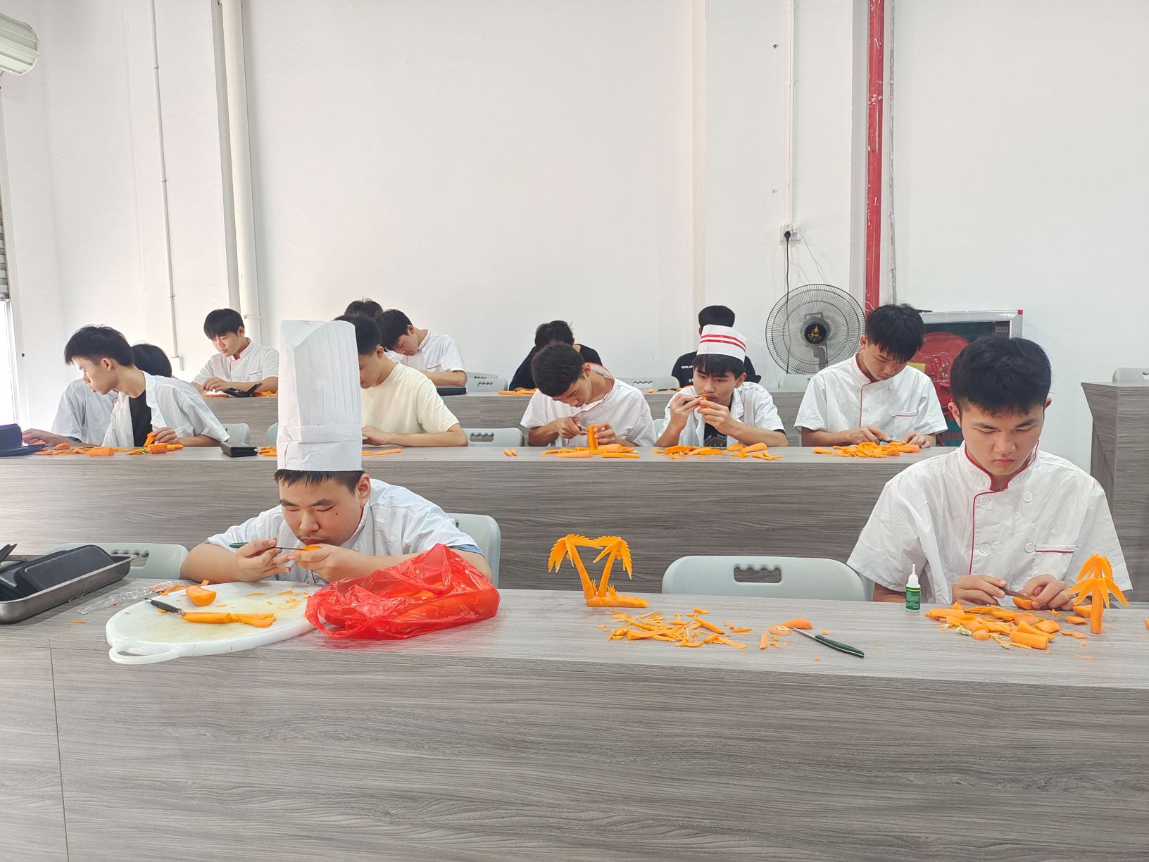 学生作品展示丨云开体育·(中国)官方网站