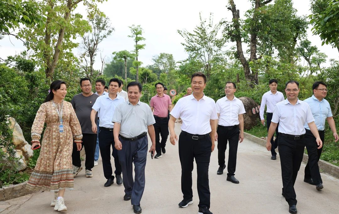 桂平市市长黄德佳等领导到我校指导工作 丨 云开体育·(中国)官方网站